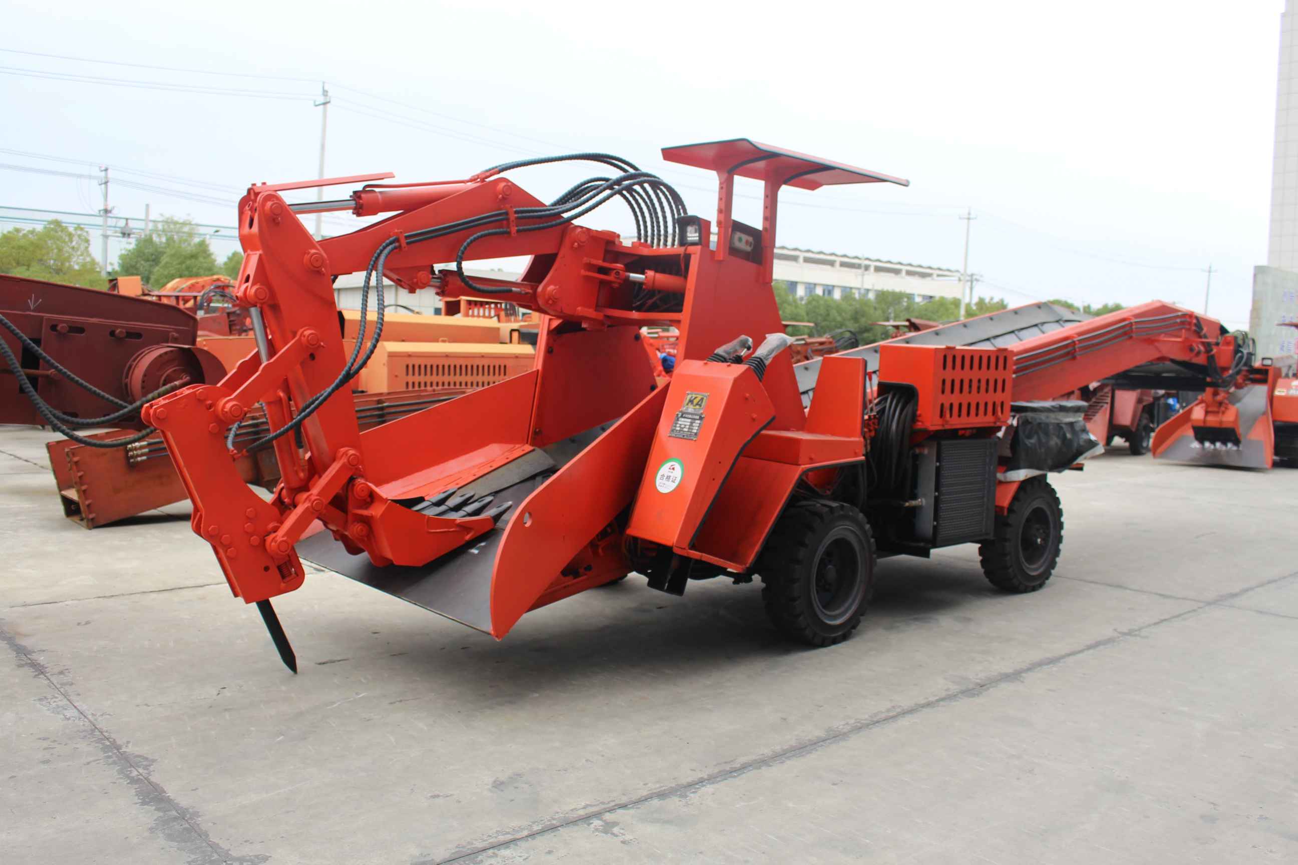 2025年蒲江耙耙柑最新价格走势，早熟款vs晚熟款性价比分析