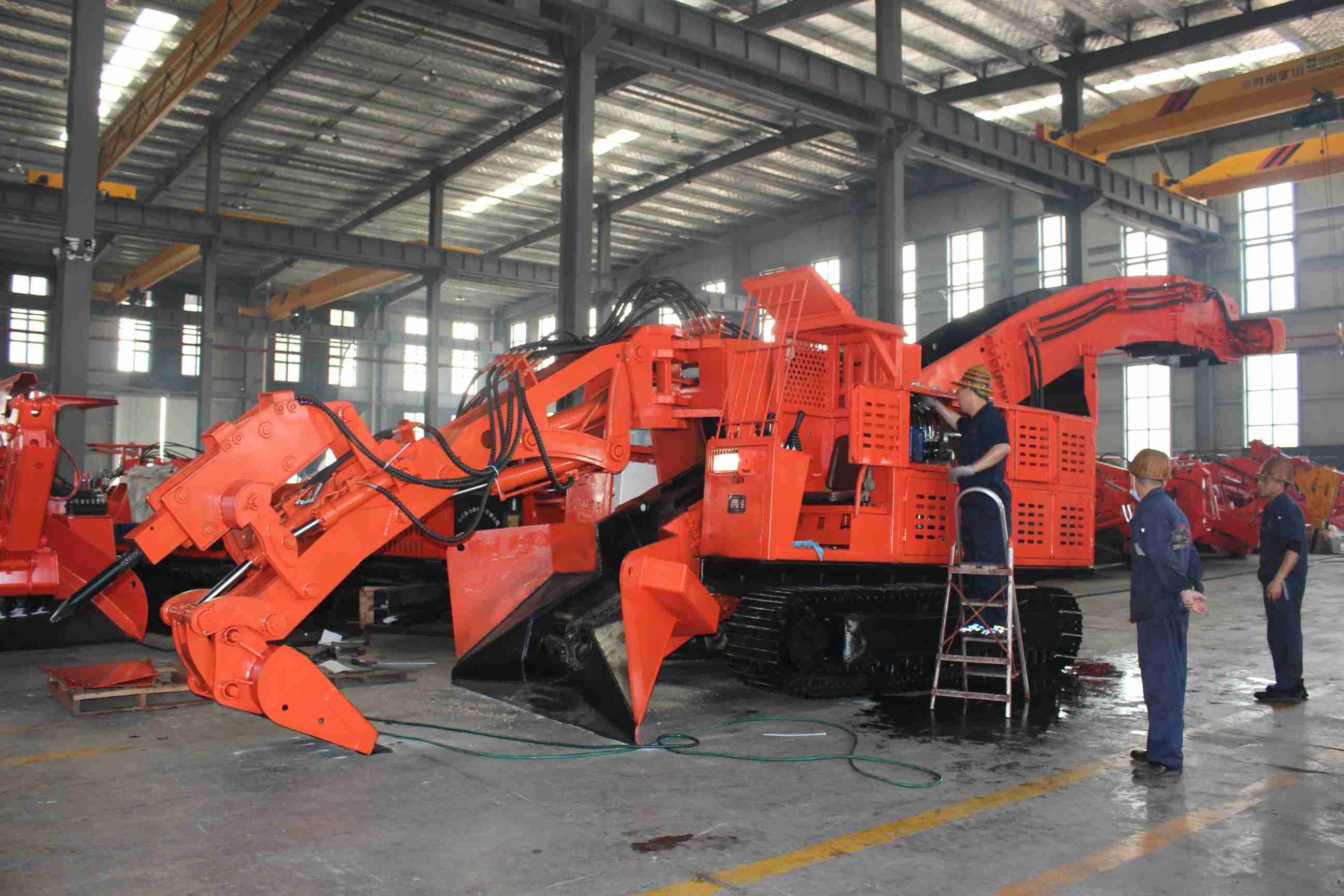 四川宜宾笋干产地探店，实地探访竹林基地，感受采摘加工文化