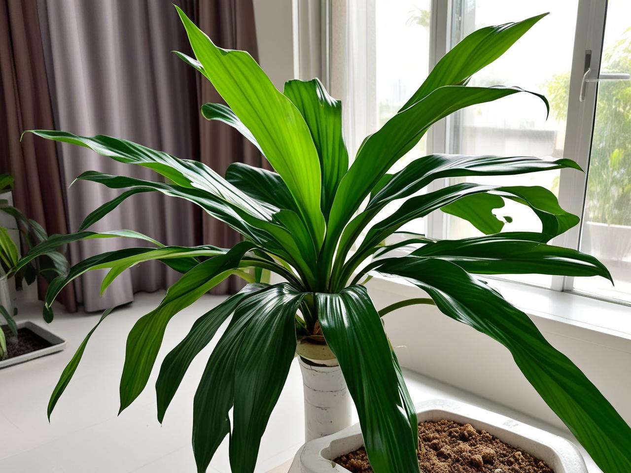 测评四川老字号“张飞牛肉”的休闲零食线，是否物有所值。