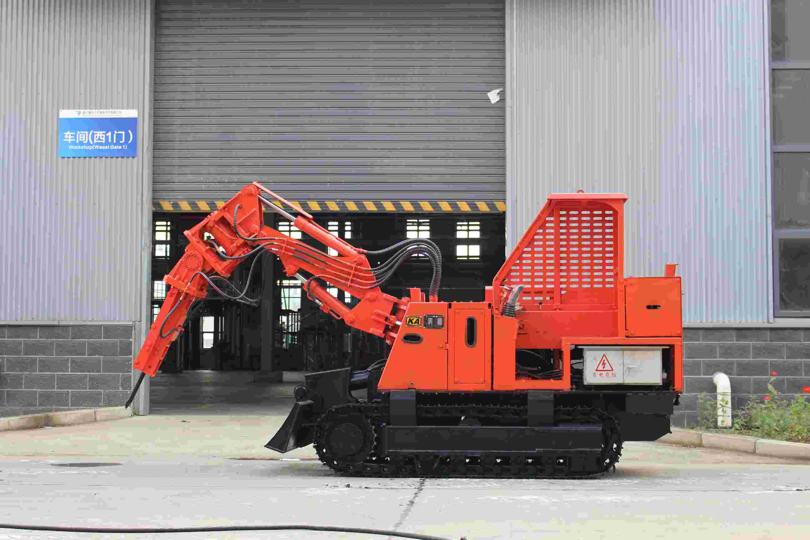 宜宾笋干种植基地，山区竹林，生态种植无农药