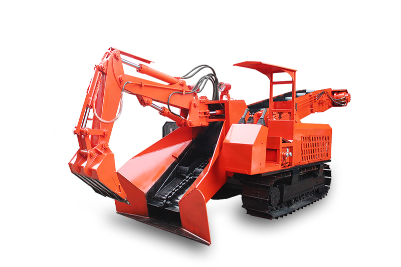 广元青川黑木耳高蛋白款首发，健康化改良突破，川北山林美味新体验