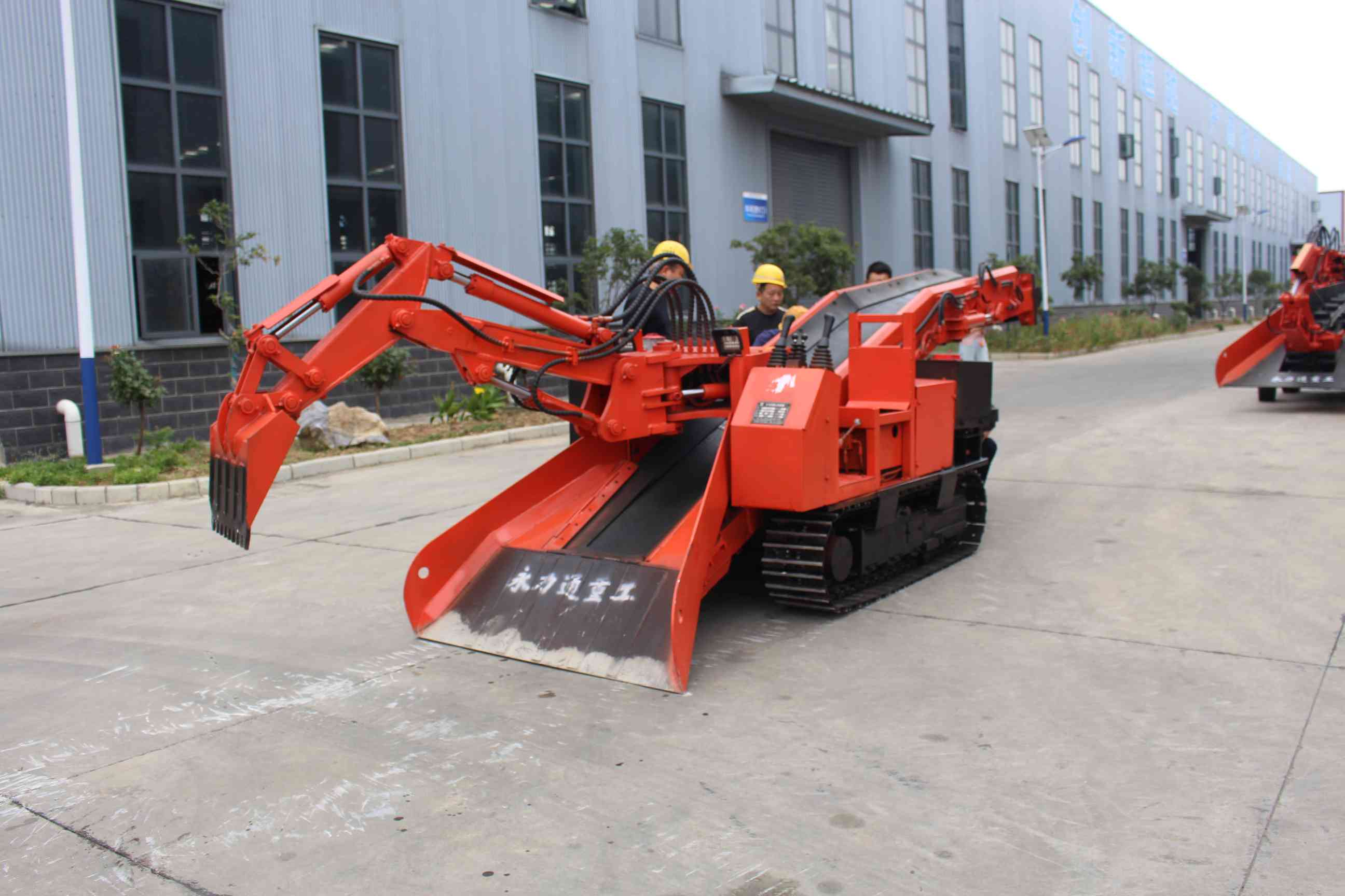 丹棱不知火成熟时间，早熟2月+晚熟4月，错峰尝鲜